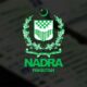 check NADRA family tree online