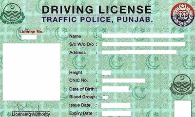 how to get E driving license in punjab