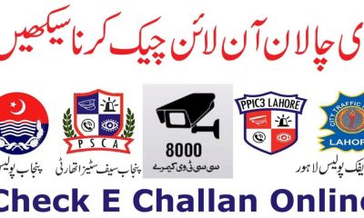 How to Check & Pay Traffic E-Challan Online