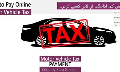 how to pay online motor vehic;e tax in sindh