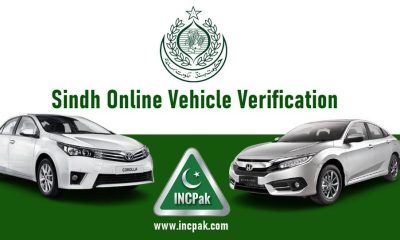 Sindh vehicle verification