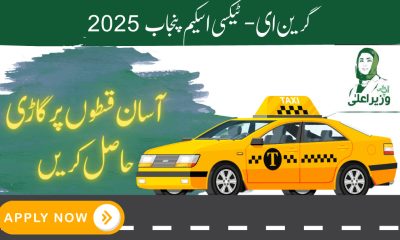 Punjab E-Taxi Scheme 2025