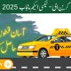 Punjab E-Taxi Scheme 2025