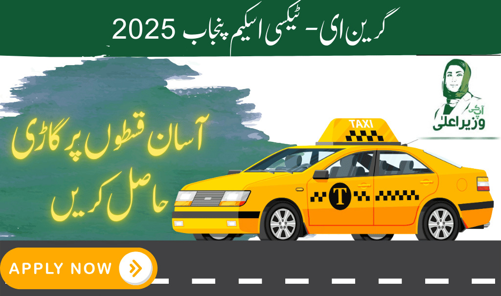 Punjab E-Taxi Scheme 2025