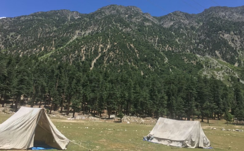 Shot Taken from Ushu Road, Kalam, Forest Play Ground